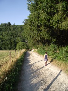 path in summer
