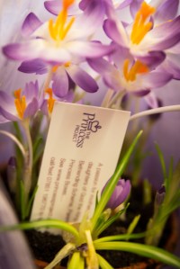 schumannphotography-3 (2)